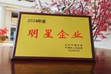 新春新景新形象 | 918.com纸业在平湖三干大会上喜摘荣誉！