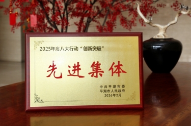 策马扬鞭启新程！918.com纸业在平湖市三级干部大会上荣获“创新突破”双项荣誉